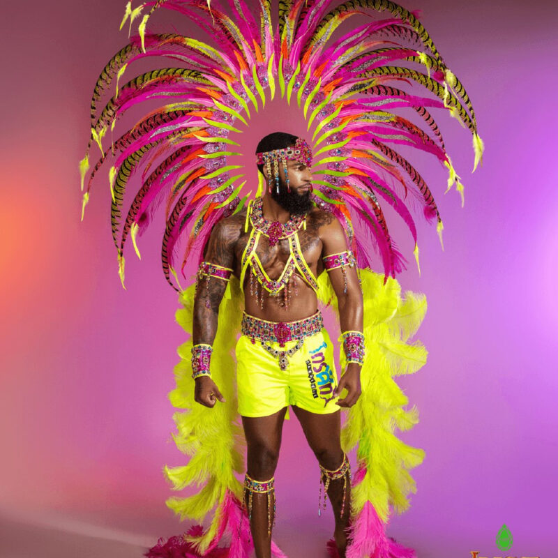 INSANE20206_0000_LUST M