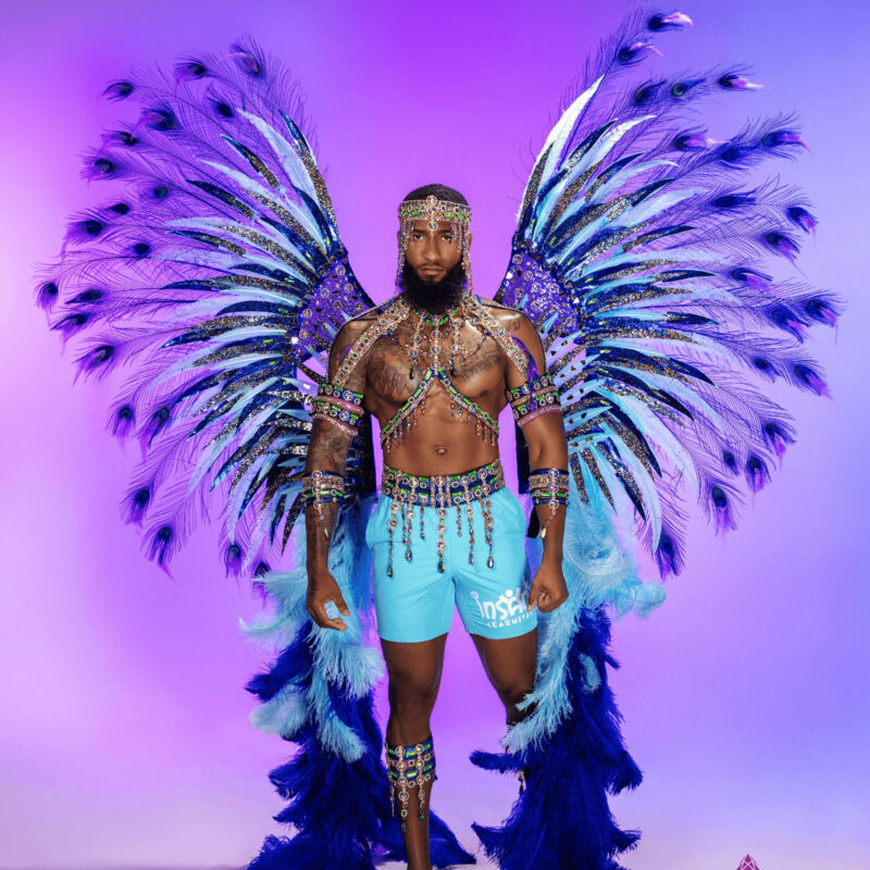 INSANE20206_0005_DESIRE M