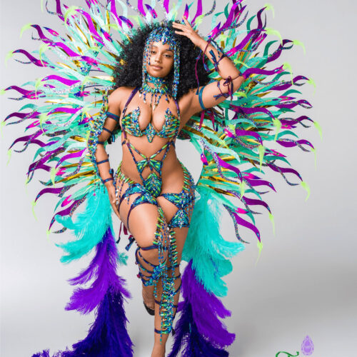 INSANE20206_0007_ENVY F